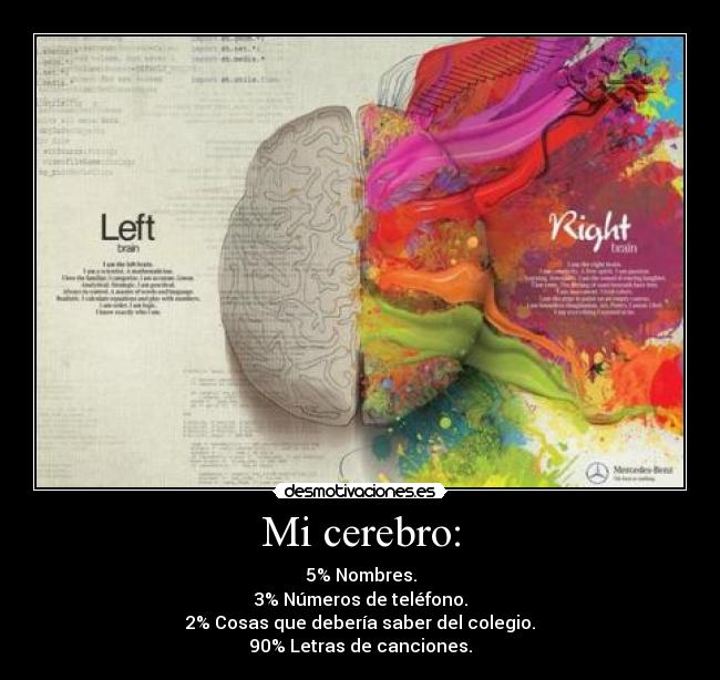 Mi cerebro: -