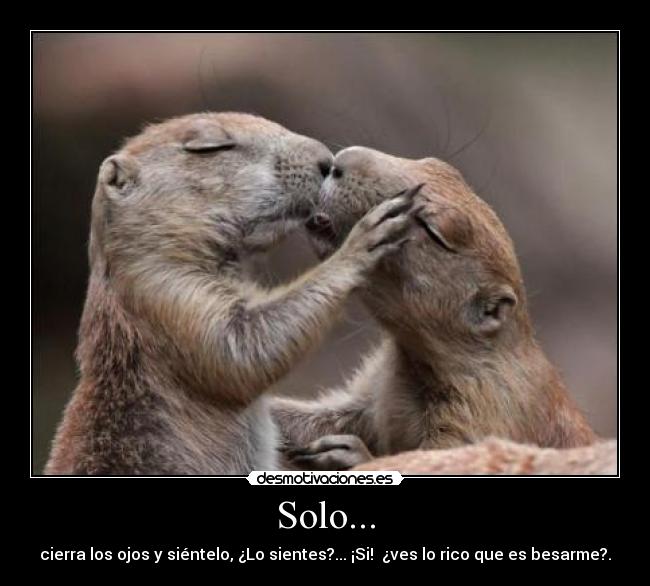 Solo... - 