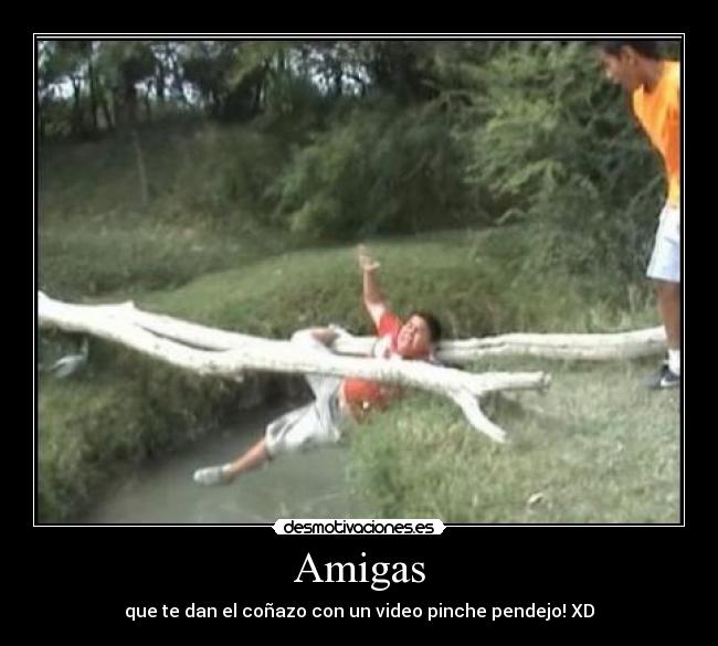 carteles amigas pinche pendejo video desmotivaciones