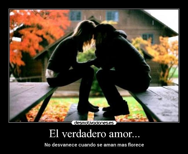 carteles amor verdadero amor desmotivaciones