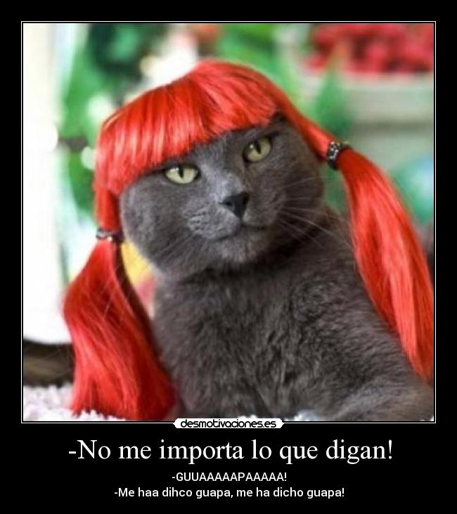 -No me importa lo que digan! -