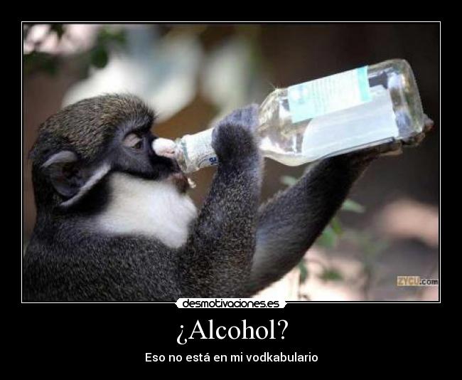¿Alcohol? - Eso no está en mi vodkabulario