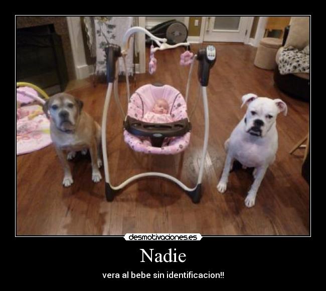 Nadie - vera al bebe sin identificacion!!