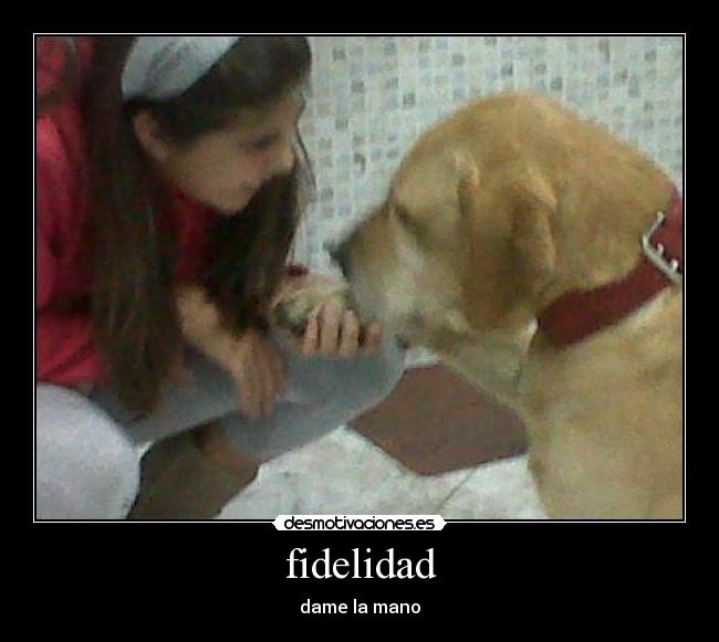 fidelidad - dame la mano