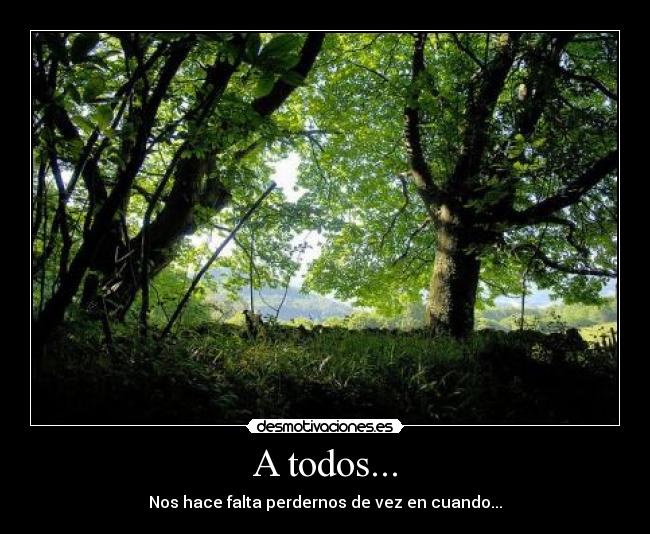 A todos... - Nos hace falta perdernos de vez en cuando...