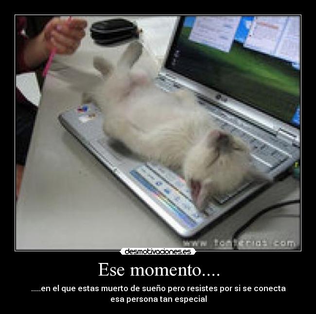 Ese momento.... - .....en el que estas muerto de sueño pero resistes por si se conecta
esa persona tan especial