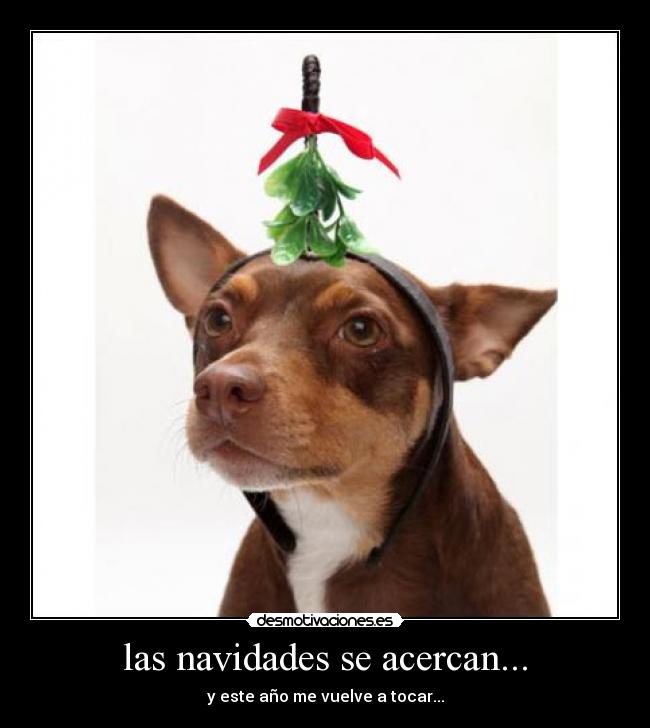 las navidades se acercan... - y este año me vuelve a tocar...