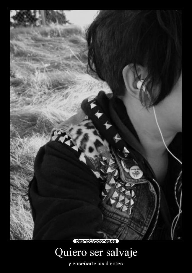 carteles envidia kotxina desmotivaciones