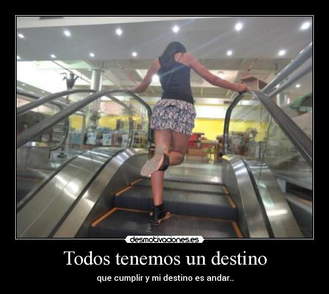 Todos tenemos un destino - 