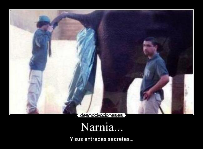 Narnia... -