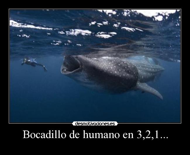 Bocadillo de humano en 3,2,1... -