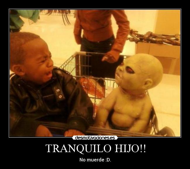 TRANQUILO HIJO!! - No muerde :D.