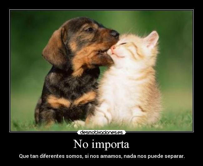 No importa - 