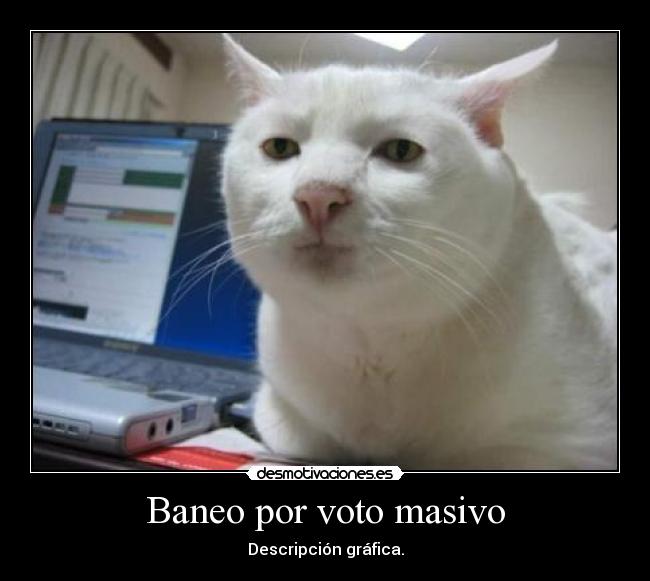 Baneo por voto masivo - 