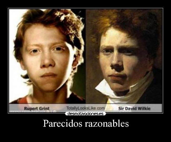 Parecidos razonables -