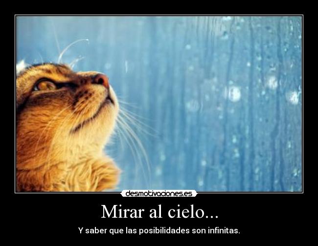 Mirar al cielo... - Y saber que las posibilidades son infinitas.