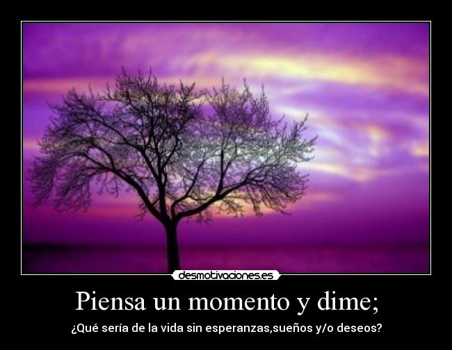 Piensa un momento y dime; - ¿Qué sería de la vida sin esperanzas,sueños y/o deseos?