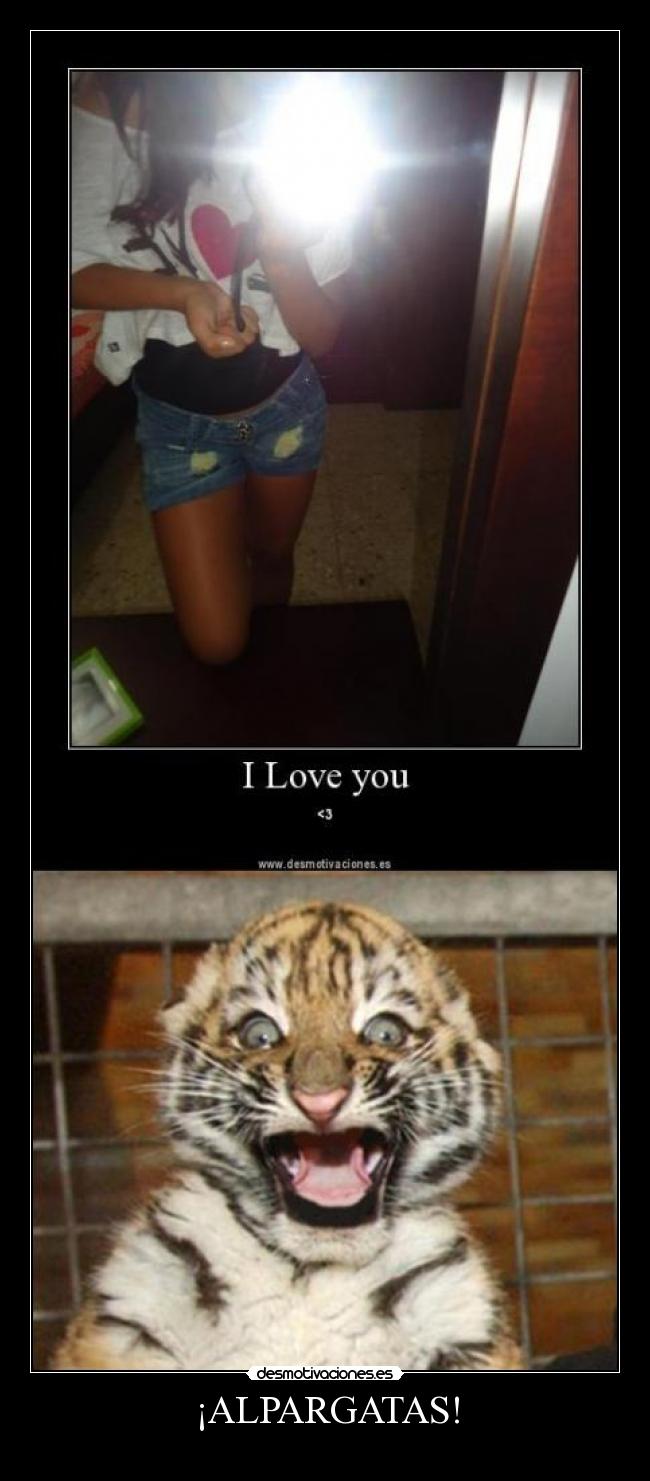 carteles tigretoneh clanng clantigretoneh desmotivaciones