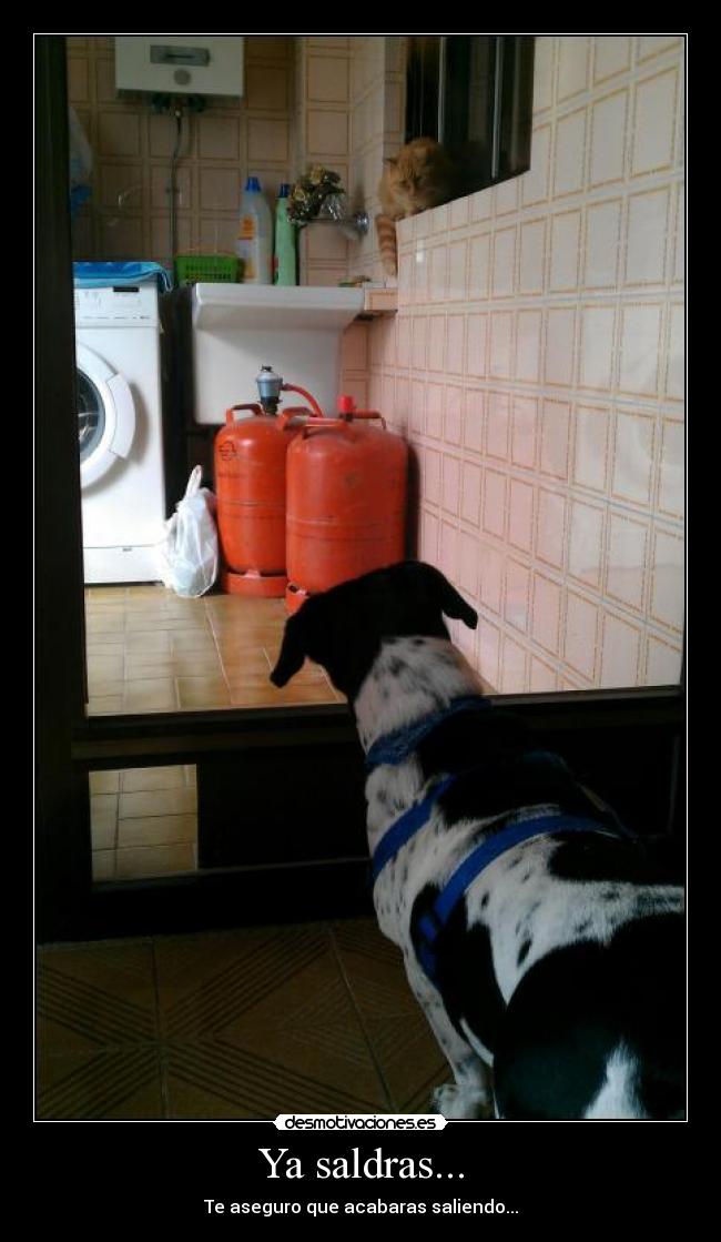 Ya saldras... - Te aseguro que acabaras saliendo...