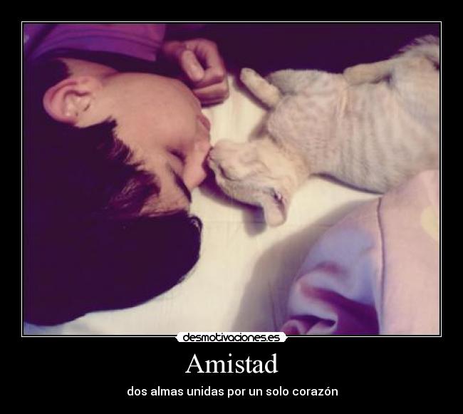 Amistad -