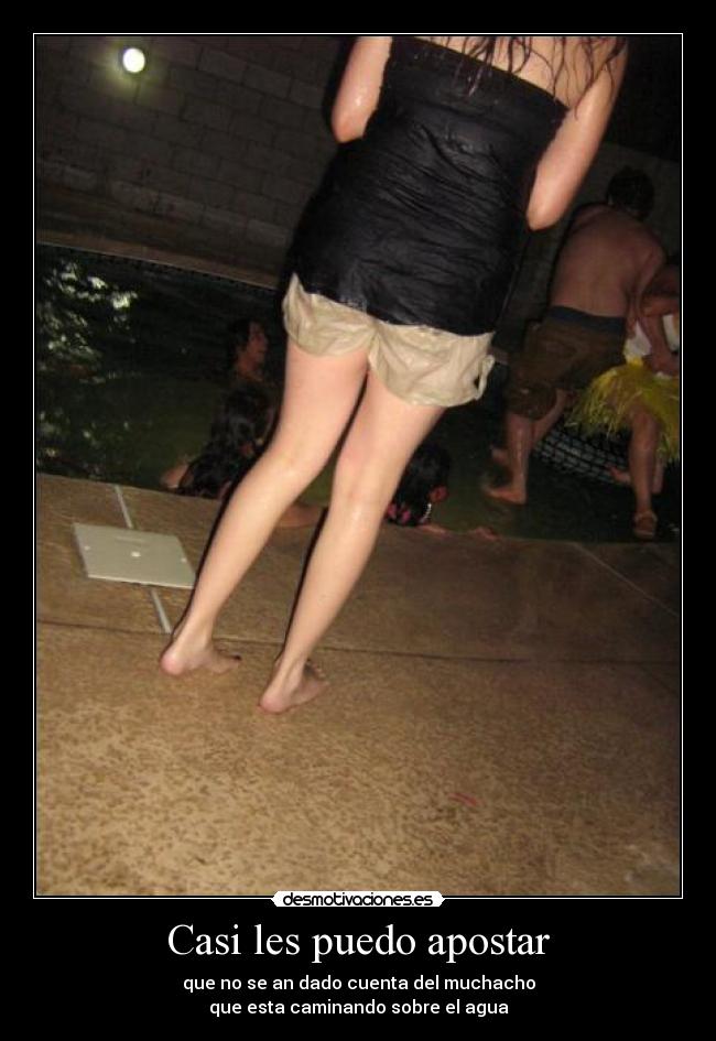 Casi les puedo apostar -