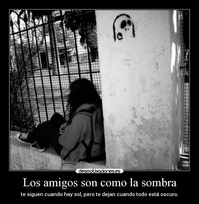 Los amigos son como la sombra - 