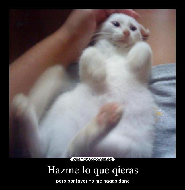 Hazme lo que qieras - pero por favor no me hagas daño