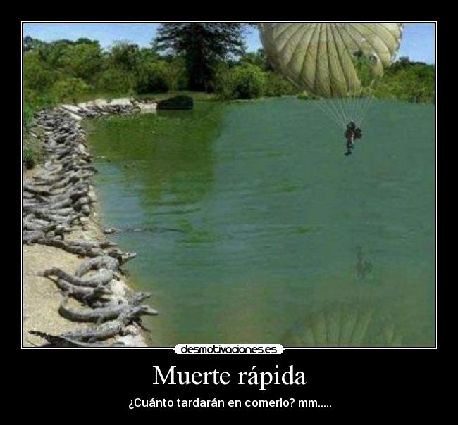 Muerte rápida - ¿Cuánto tardarán en comerlo? mm.....