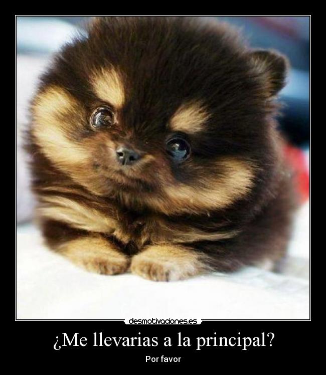 carteles guti19 carteles cona pero con toque llegara siento desmotivaciones