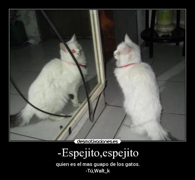 -Espejito,espejito - quien es el mas guapo de los gatos.
-Tú,Walt_k
