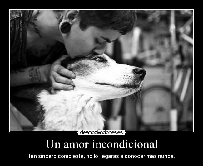 Un amor incondicional -