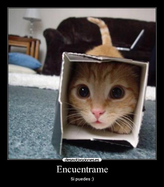 Encuentrame - Si puedes :)