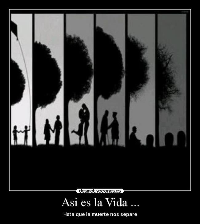 Asi es la Vida ... - Hsta que la muerte nos separe