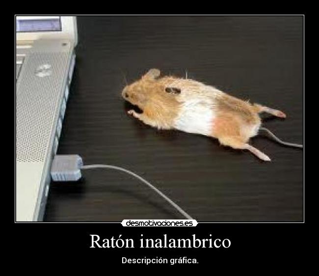Ratón inalambrico - Descripción gráfica.