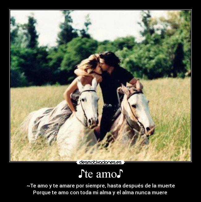 ♪te amo♪ -