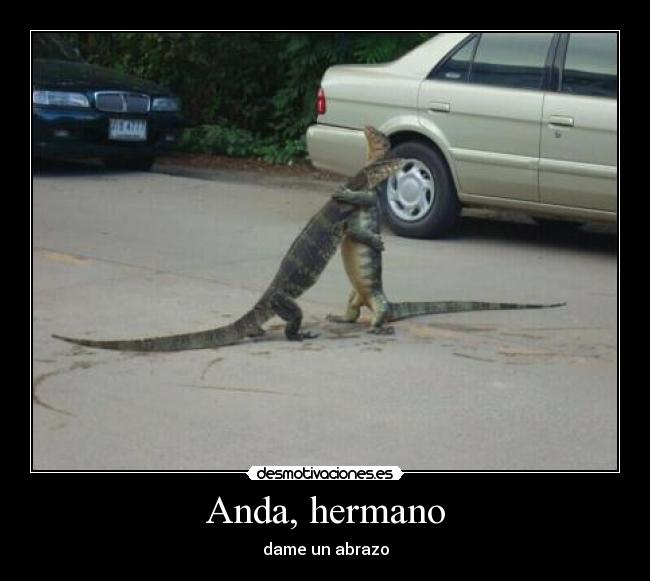 Anda, hermano - dame un abrazo
