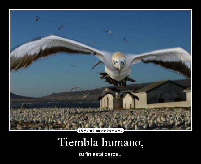 Tiembla humano, - tu fin está cerca...