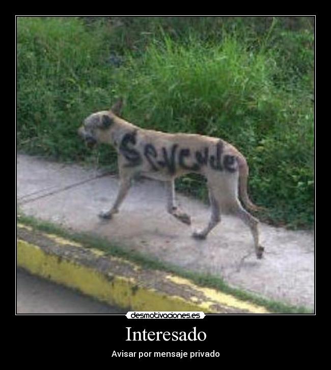 Interesado - Avisar por mensaje privado