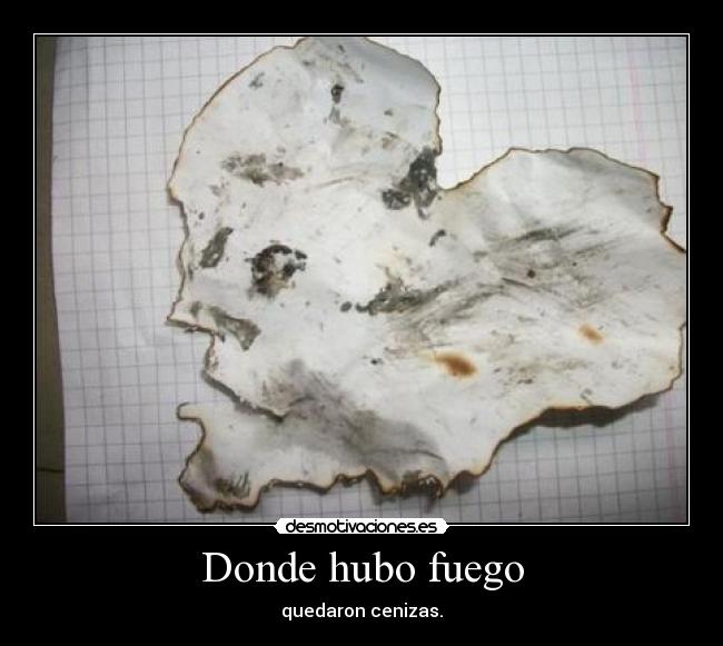 Donde hubo fuego -