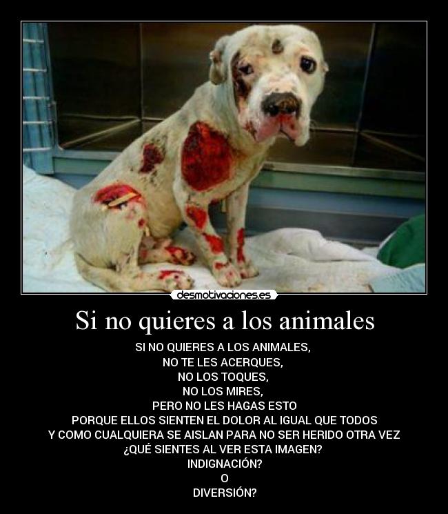 Si no quieres a los animales - 