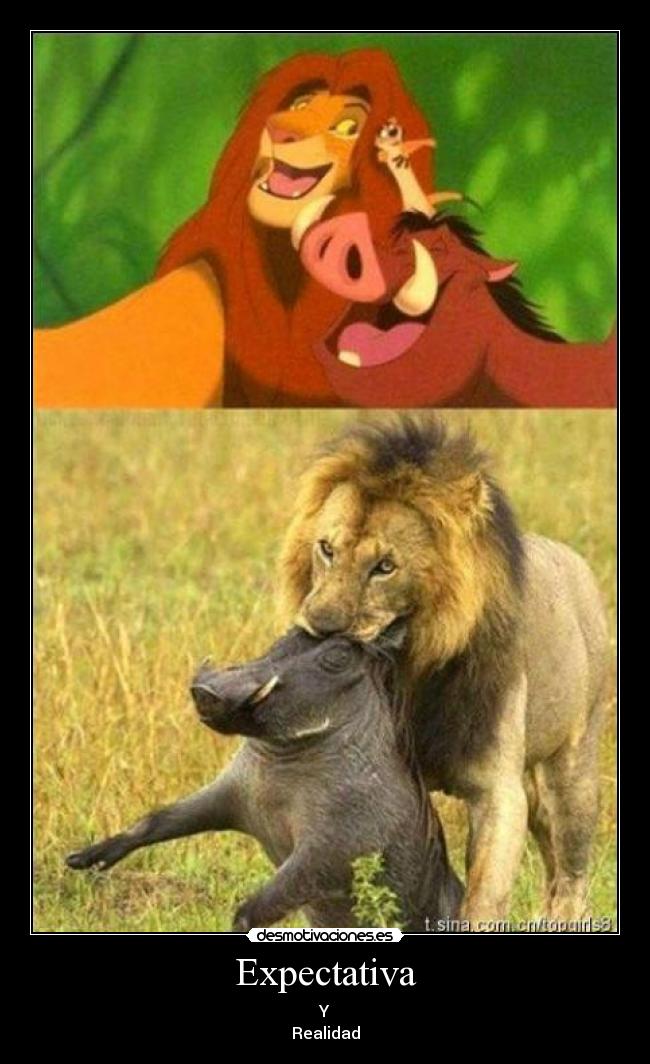 Expectativa -