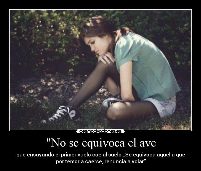 No se equivoca el ave - que ensayando el primer vuelo cae al suelo...Se equivoca aquella que
por temor a caerse, renuncia a volar