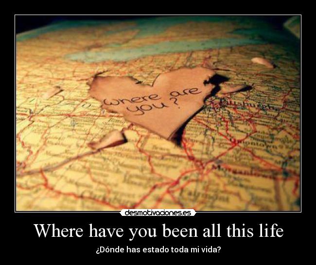Where have you been all this life - ¿Dónde has estado toda mi vida?