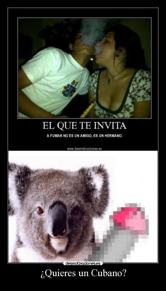 ¿Quieres un Cubano? - 