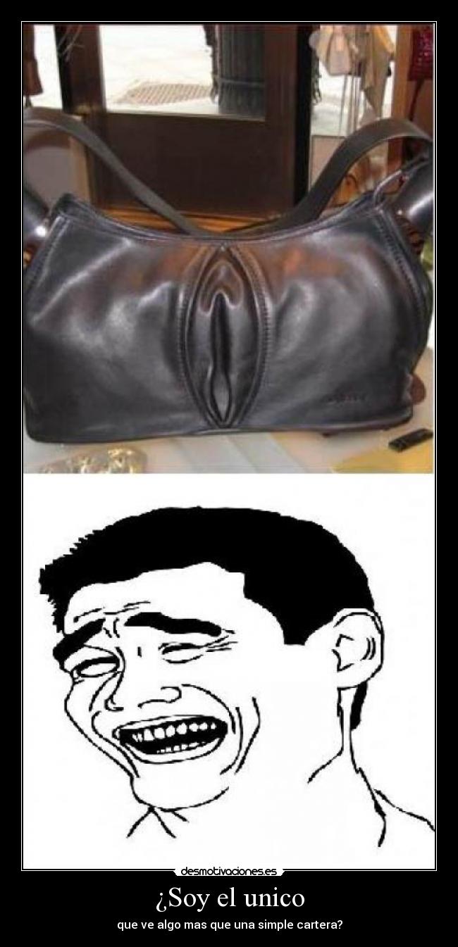¿Soy el unico - que ve algo mas que una simple cartera?