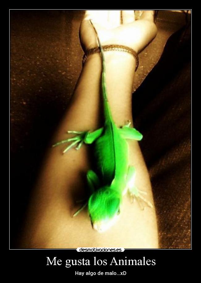 Me gusta los Animales -