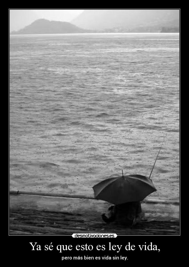 Ya sé que esto es ley de vida, - pero más bien es vida sin ley.