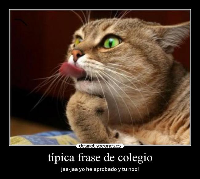 típica frase de colegio -
