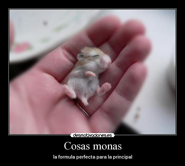 Cosas monas - 