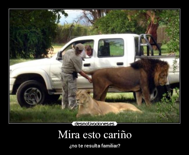 Mira esto cariño - ¿no te resulta familiar?